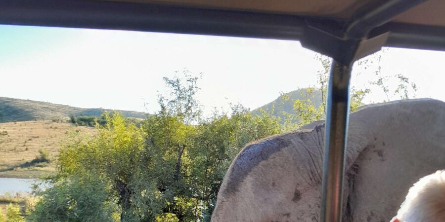 Johannesburg: Pilanesberg National Park 2-Day Private Safari