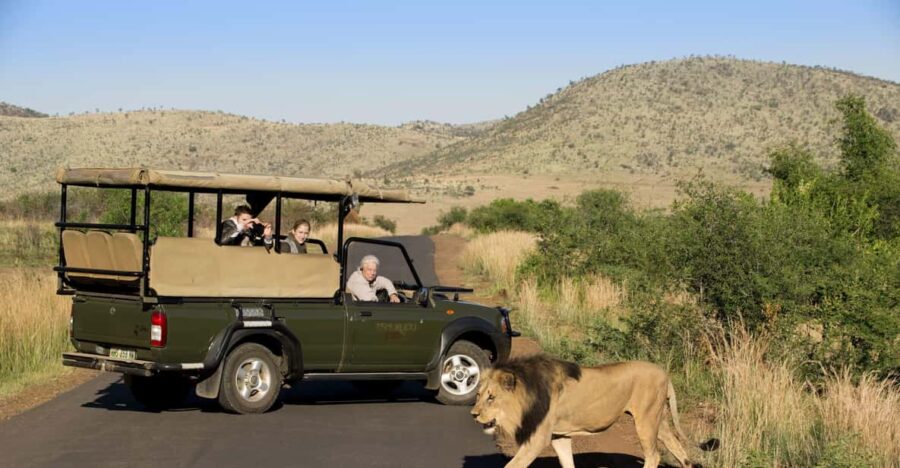 11 Best National Park Tours In Pilanesberg Nature Reserve