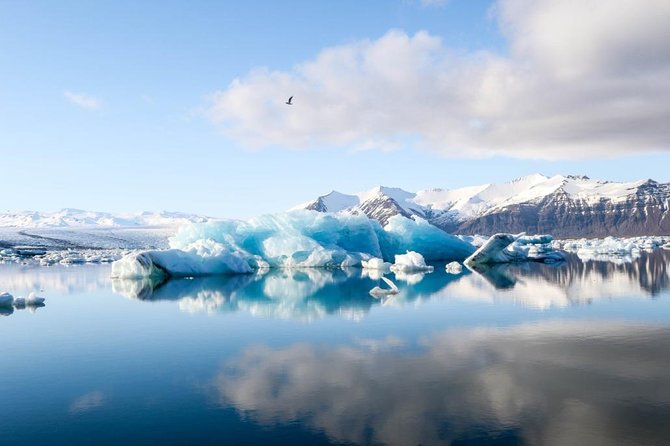 Jökulsárlón Glacier Lagoon Tour