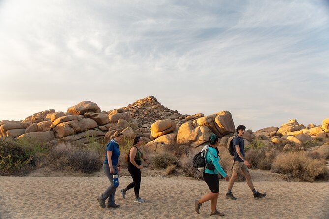 Joshua Tree Full Day Private Tour and Hike