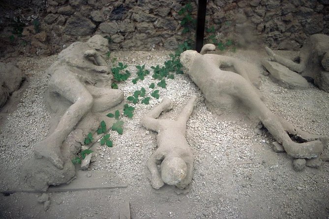 Journey to Discover the Roman Pompeii Strolling Among the Ancient Domus