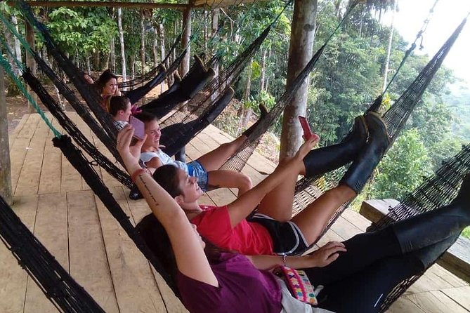 5 Best Tours In Puyo