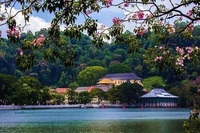 Kandy Day Trip From Kalutara Beruwala Bentota Aluthgama Wadduwa