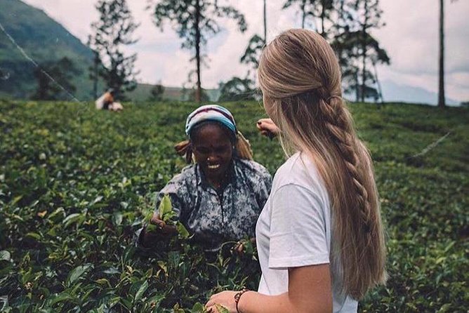 Kandy & Nuwara Eliya | 2 Days Tour - Tour Features