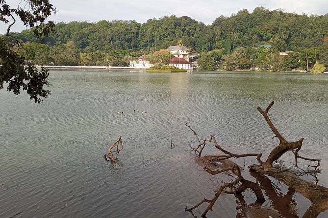 Kandy to Ella Day Tour