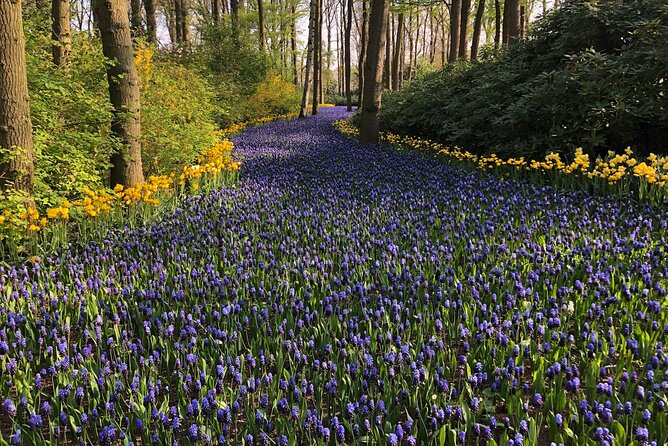 Keukenhof, Tulip Farm, Flower Fields & Zaanse Schans Windmills