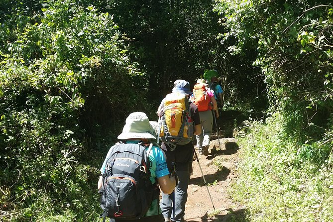 Kilimanjaro Marangu Route Day Tour