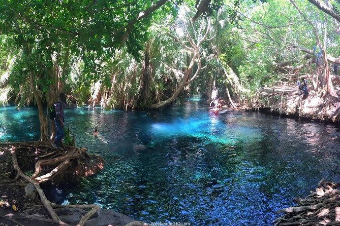 Kilimanjaro Waterfalls Hike & Moshi Hot Springs Day Trip Tour - Overview of the Tour