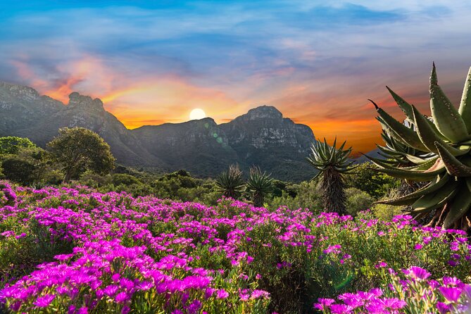 Kirstenbosch Botanical Gardens and Constantia Wine Tasting Tour.