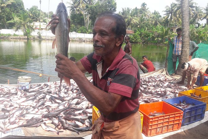 Kochi Overall for Group Tour