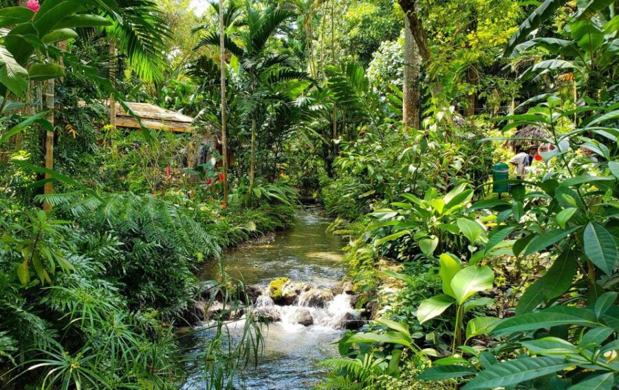 Konoko Falls and Park With Mini Zoo Private Tour