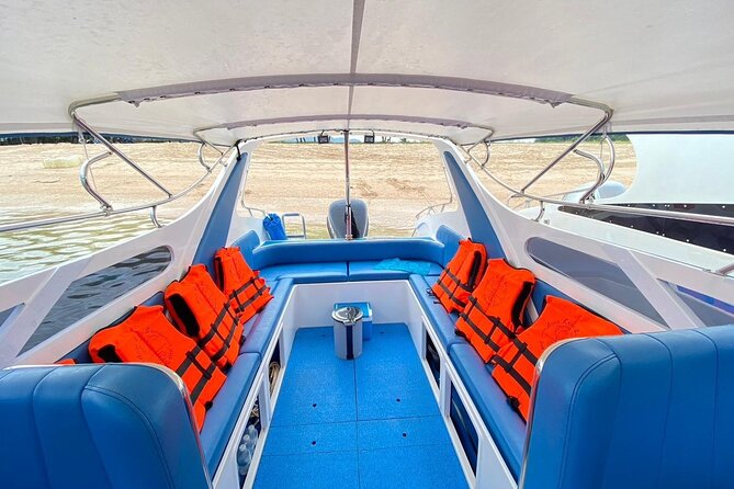 Krabi: Speed Boat Charter to Phi Phi Island Private Tour