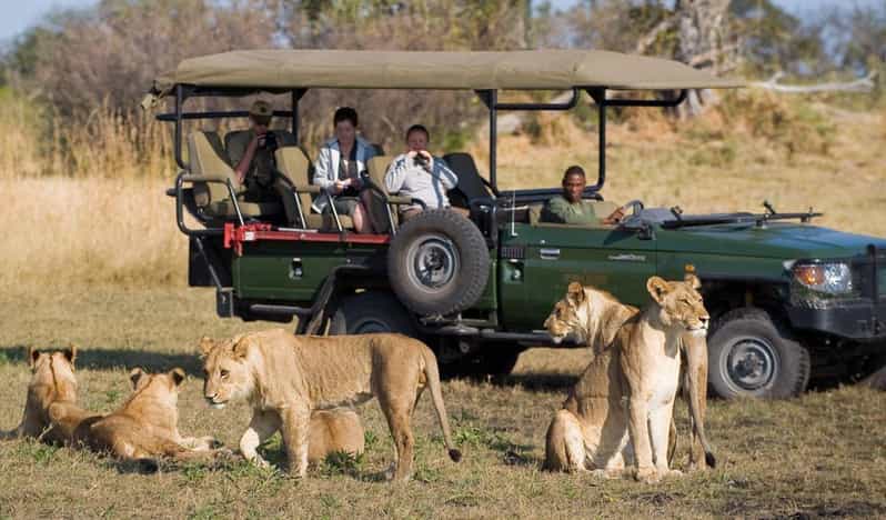 5 Best 4 Day Tours In Hazyview