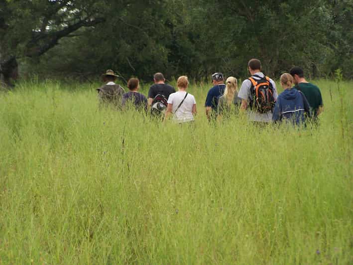 Kruger National Park: 6-Day Epic Kruger Park Safari