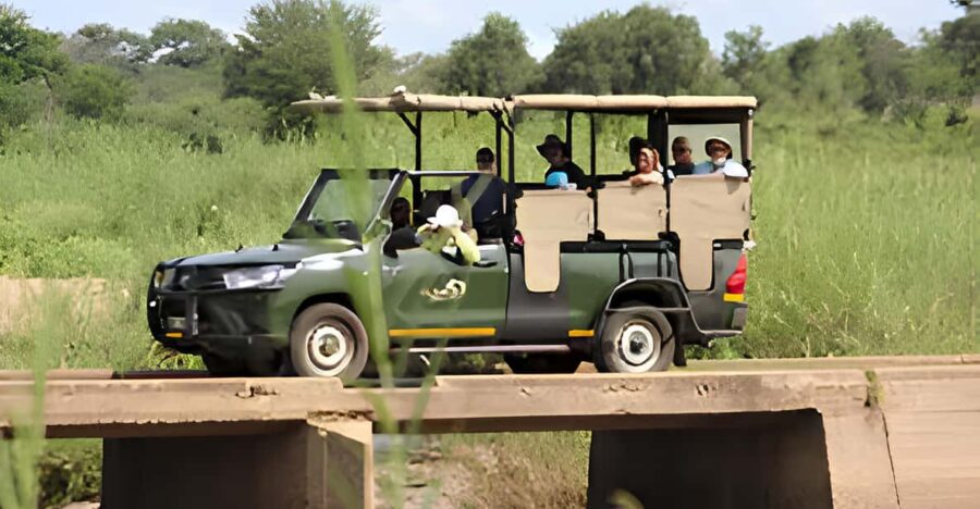 Kruger National Park Safari (Full Day) - Overview of Activity