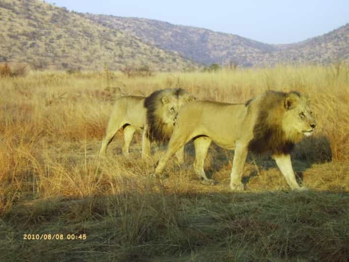 Kruger National Park Tour 3day/2 Nights (Open Safari Truck) - Tour Overview