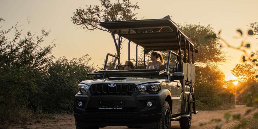 Kruger Park Full Day Safari (Private)