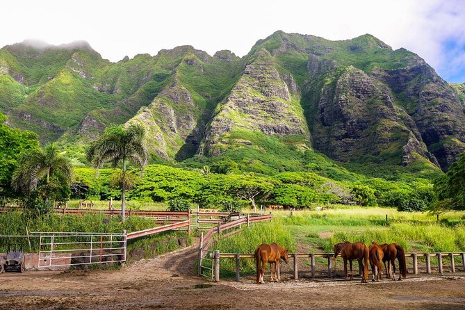 Kualoa Ranch: Malama Experience Tour