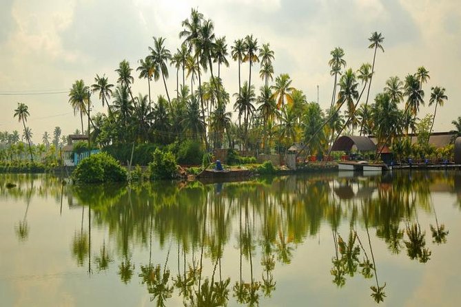 Kumbalangi Village Sightseeing Tour