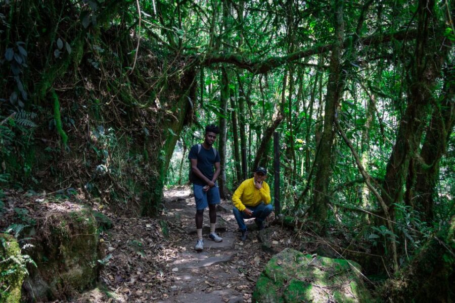 La Chorrera and Chiflon Waterfalls Private Hike Tour