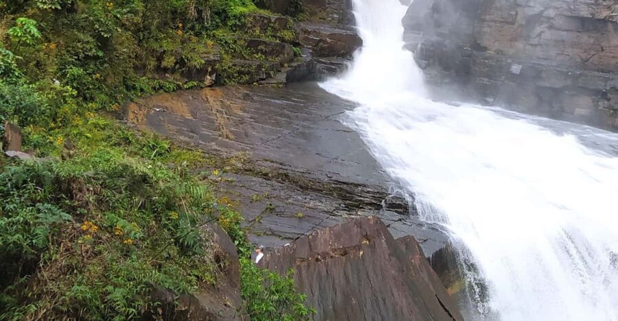 La Paz, Caranavi Waterfalls Tour Private - Tour Overview and Pricing