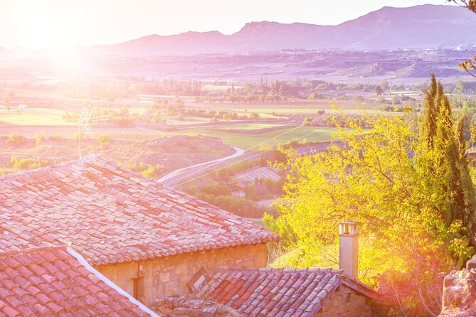 La Rioja Private Tour to 3 Wineries From San Sebastian - Tour Highlights