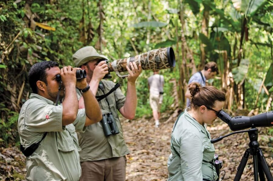 La Romana: Bird Watching From Casa De Campo