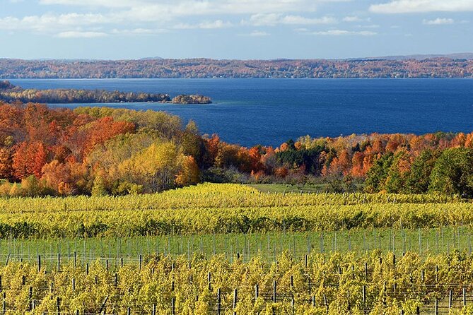 Lake Leelanau 4 Hour Tour