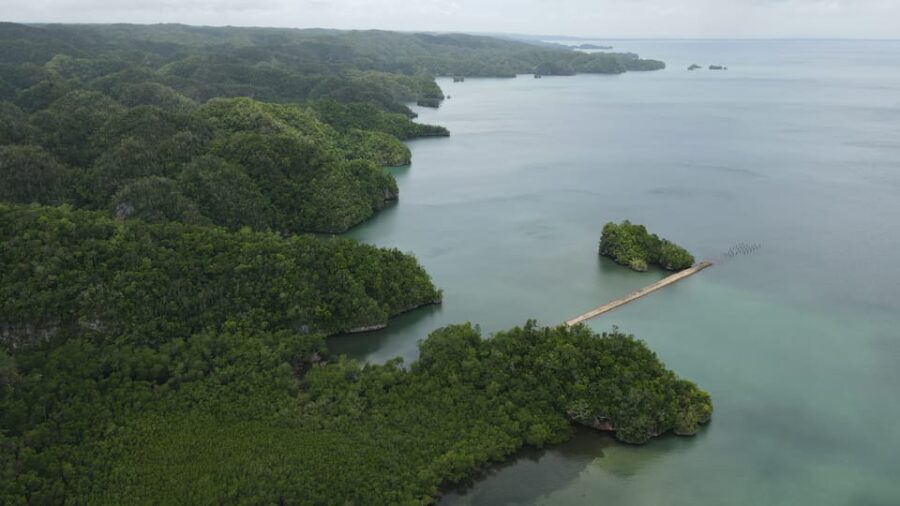 2 Best Cruises And Boat Tours In Las Terrenas