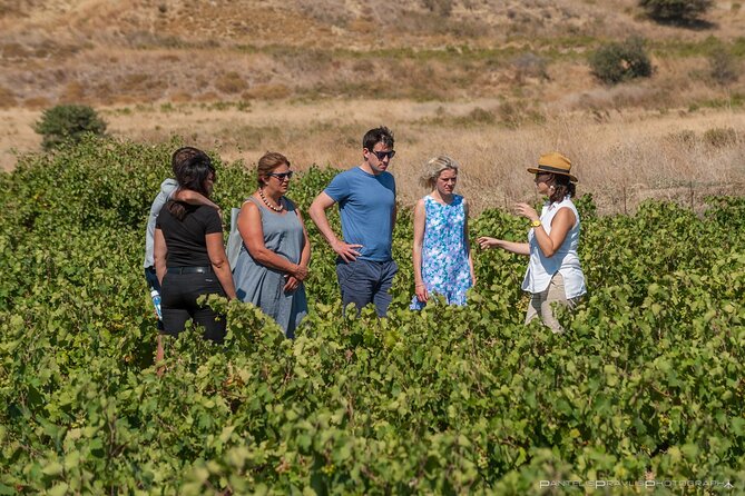 Lemnos Wine Tour - Private Tour - Traveler Photos