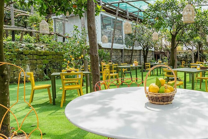 Lemon Tour With Lunch or Dinner - Tour Overview