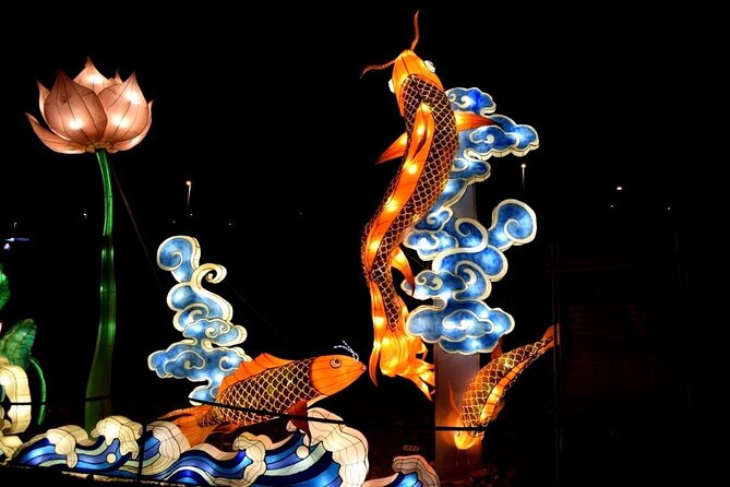 Light Park Tenerife - Transportation Options