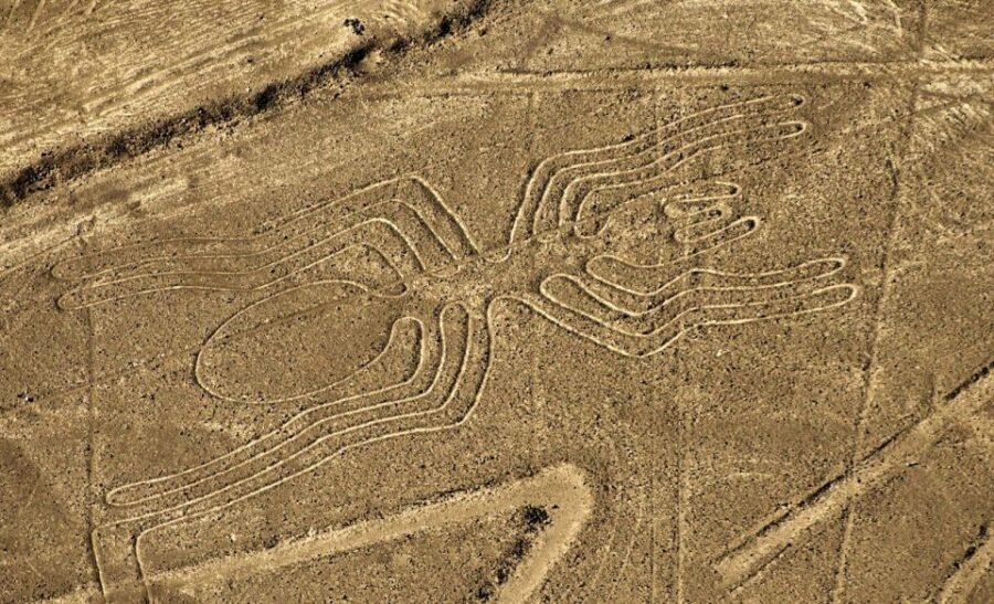 Lima: Nazca Lines, Winery and Huacachina Oasis Private Tour