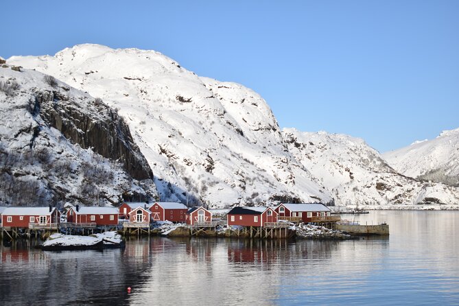 Lofoten PRIVATE Tour From Leknes - Large Group (5-8 Pax) - Tour Overview