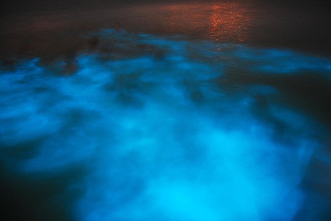Luminous Lagoon and Rose Hall Haunted Night Tour From Runaway Bay