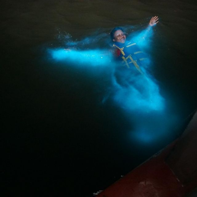Luminous Lagoon Glistening Waters Night Tour
