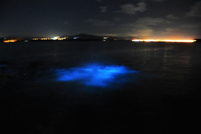 Luminous Lagoon Glistening Waters Tour From Falmouth