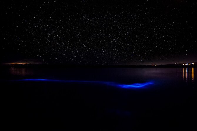 Luminous Lagoon Guided Tour In Montego Bay - Overview of the Luminous Lagoon