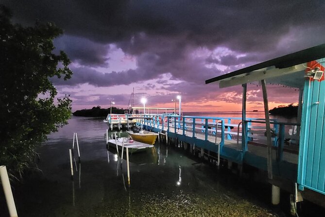 Luminous One Puerto Rico- Bio Bay Boat Ride With Swimming