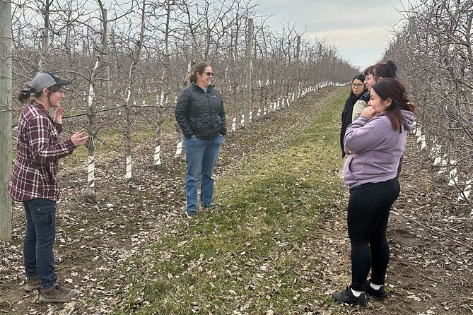 Lunch and Tour of an Apple Orchard With a Farmer in Elyria