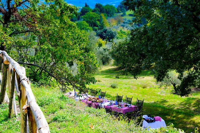 Lunch in the Olive Grove