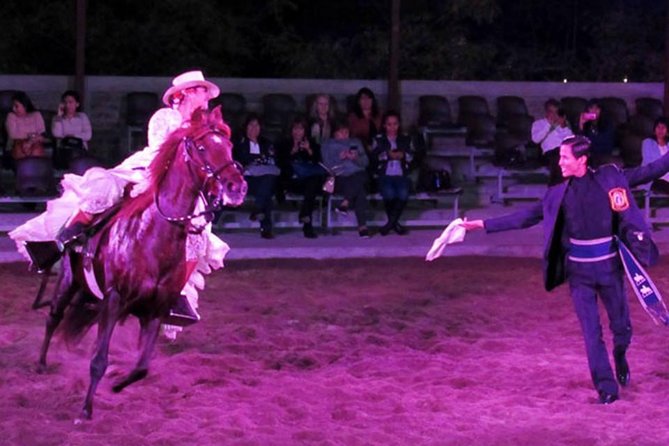 Lunch Show - Exhibition of Peruvian Horse With Pick up & Drop off - Equestrian Showcase and Performance