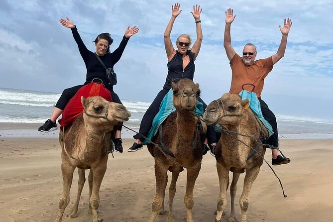Luxury Tangier Private Day Tour From Malaga All Inclusive - Eligible Participants and Transportation