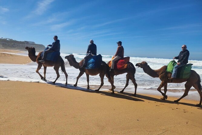 Luxury Tangier Private Day Tour From Tarifa Spain All Inclusive - Tour Overview
