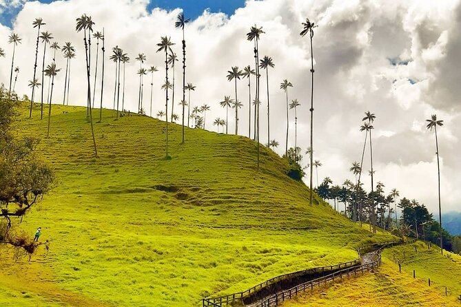 Machin Volcano Hill Tour From Salento