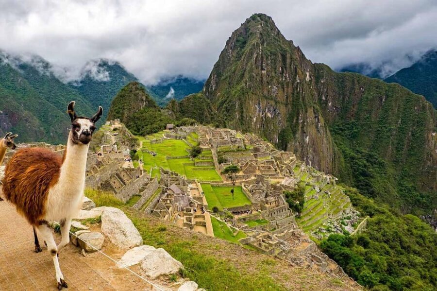 Machu Picchu Tour + Machu Picchu Mountain | From Cusco