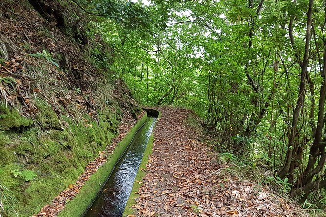 Madeira: Private Guided Levada Dos Tornos Boaventura Hike - Inclusions