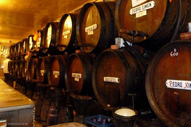 Malaga Gastronomy Tour Wines and Spanish Tapas - Exploring Málagas Old Town Gastronomy