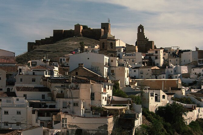Malaga Small Group Tour With Wine Tasting, Culture & Vineyard - Inclusions and Highlights