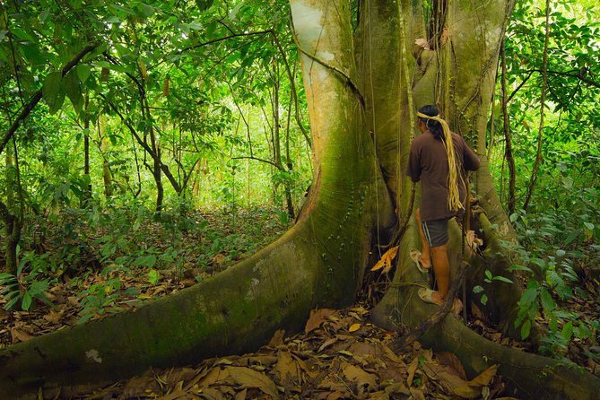 Maleku Indigenous Reserve Tour